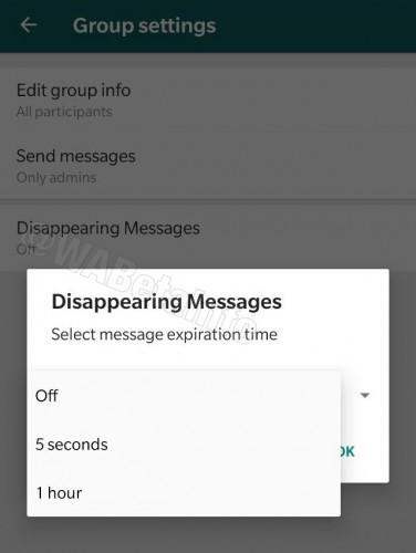 WhatsApp测试自毁的消息