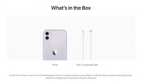 iPhone 11，SE（2020）和XR也丢失了盒子充电器和耳罩
